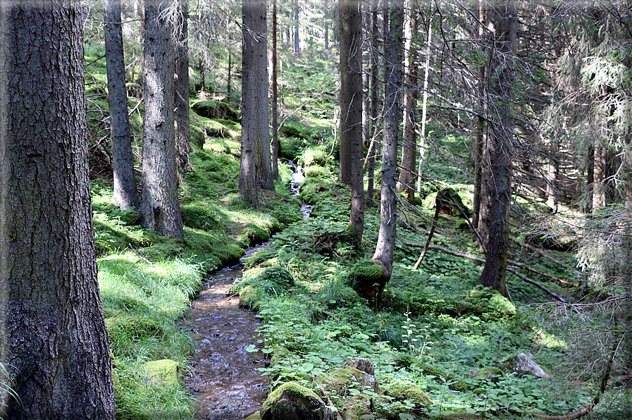 foto Da Forcella Montalon a Val Campelle